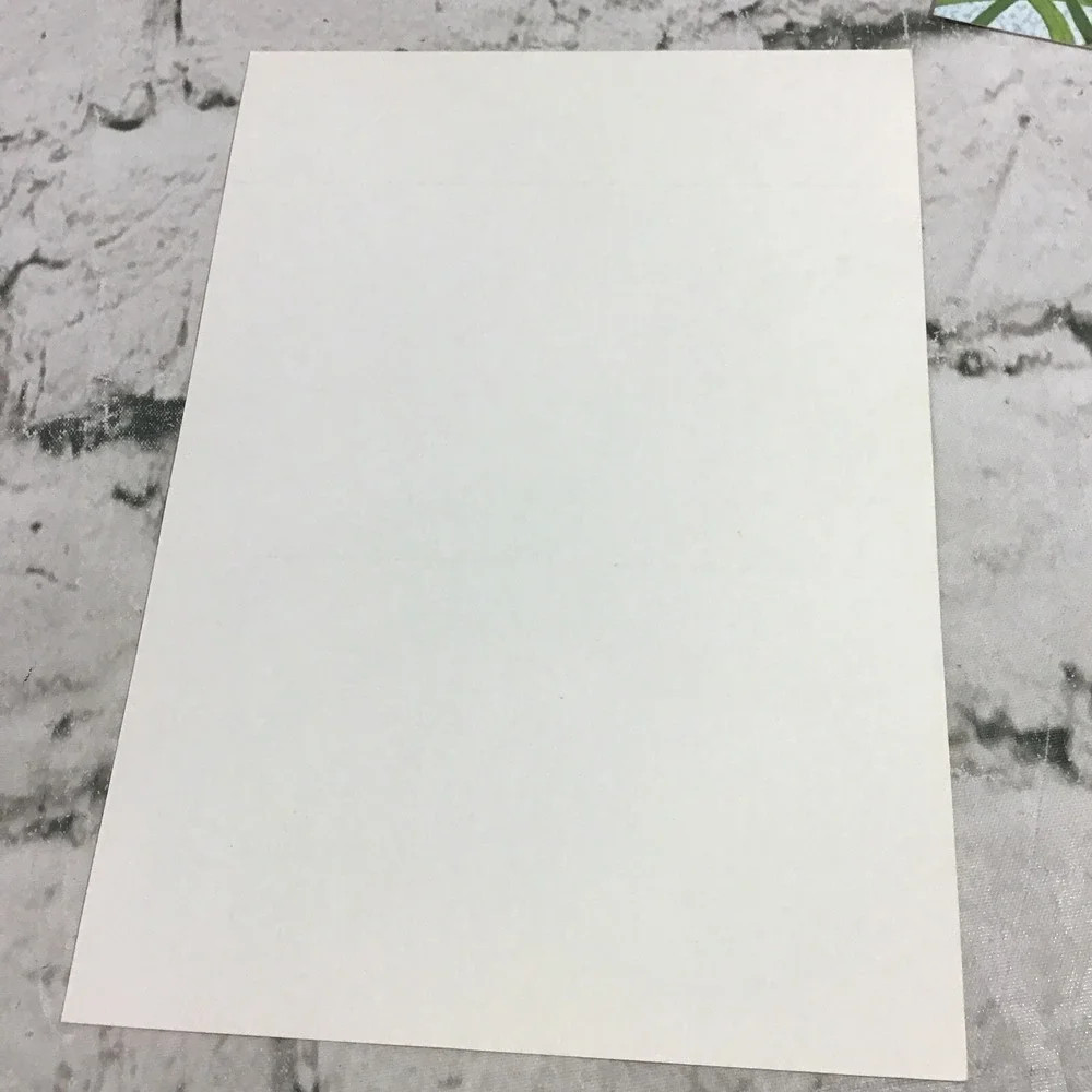 Vintage Fold And Send Notecards Lot Of 4 in 2 Styles Chipmunk Tree Frog Nature